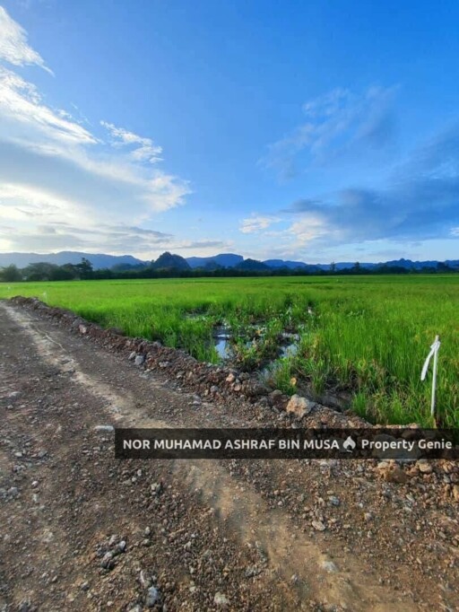 Tanah Sesuai Buat Rumah di Abi Kangar (sebelah SRI1)
