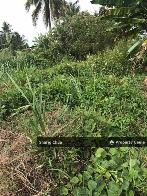 Kampung Baharu, Labu Lanjut