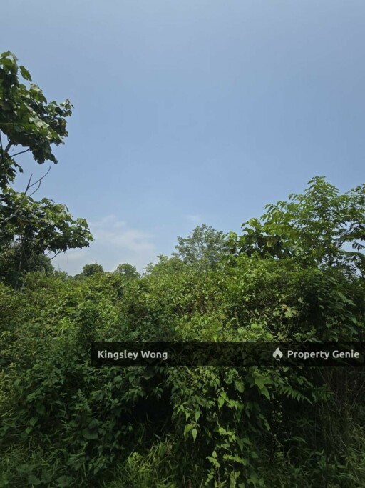 Jerlun, Kuala Kangsar 5.72Acres Agriculture Land Beside Highway