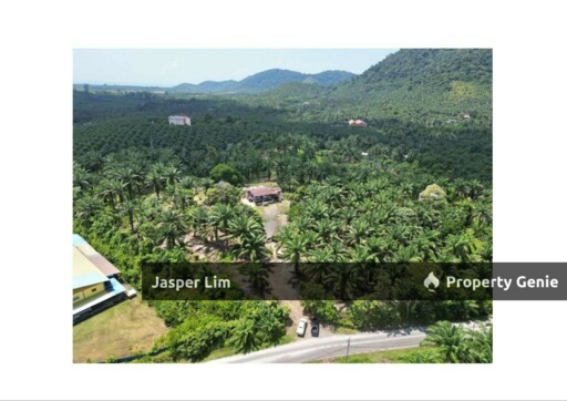 Kau Sing 11.63 Acre Land Tawau