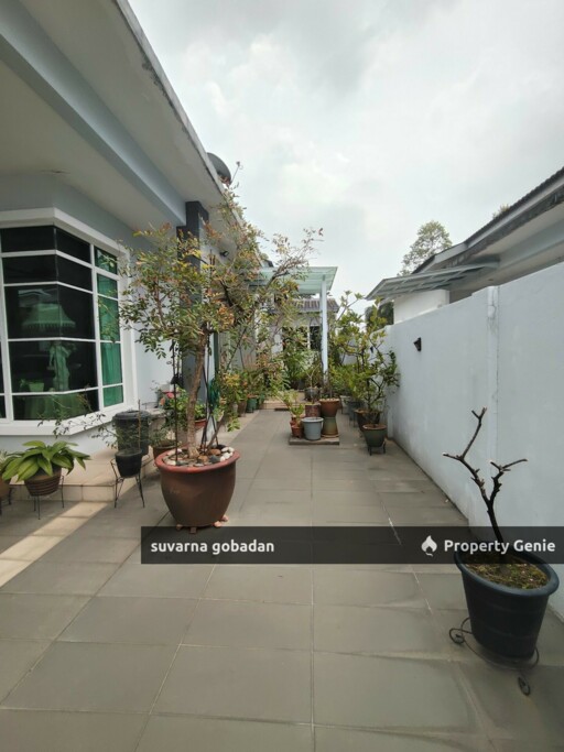 Freehold Single Storey SemiD, Tasek Nova, Tasek Ipoh