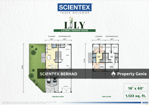 Lily, Scientex Tasek Gelugor