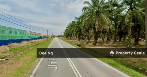 Benut / Pontian / Devolopment Land For Sale