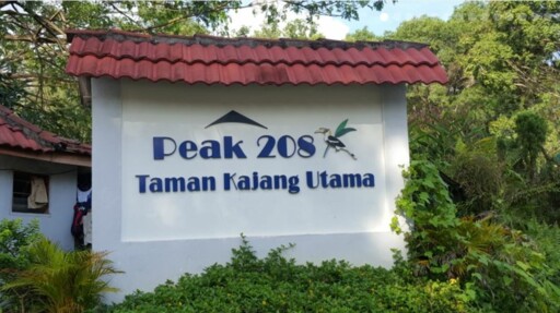 Peak 208