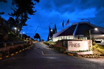 THE PINE