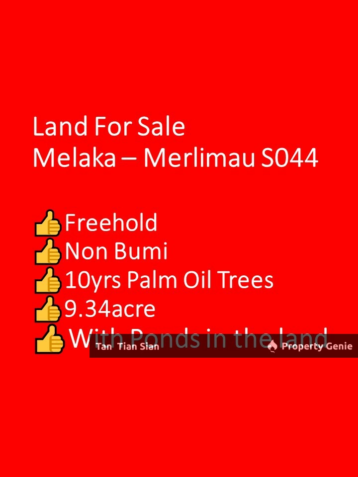 (S044) Land For Sale @ Merlimau, Jasin, Melaka Good location murah cheap Pond water air beside raw land Palm Sawit good