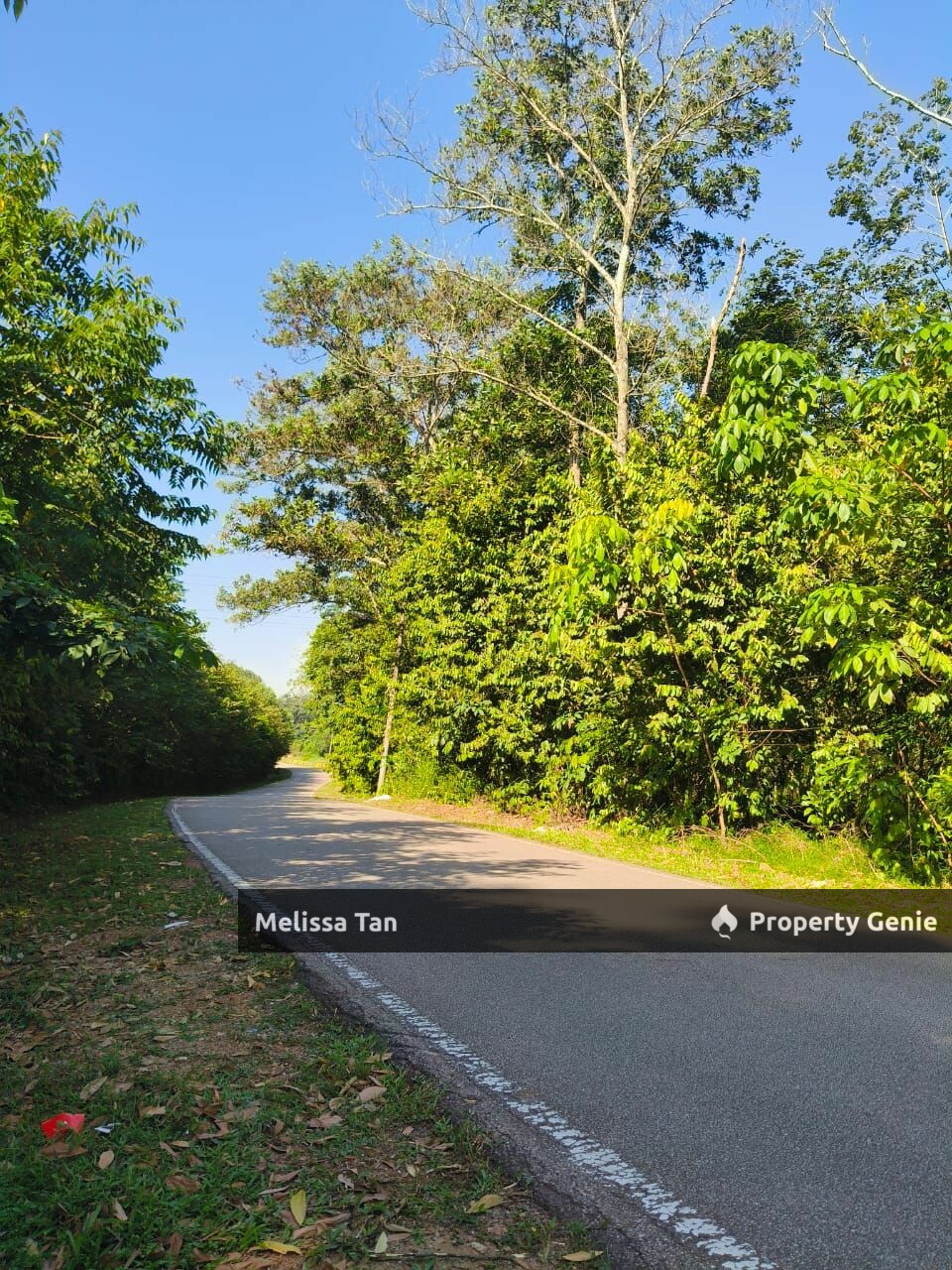 [Rubber Plantation] Alor Gajah For Sale