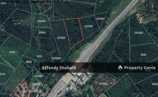 BENTONG CHINTA MANIS TANAH PERTANIAN