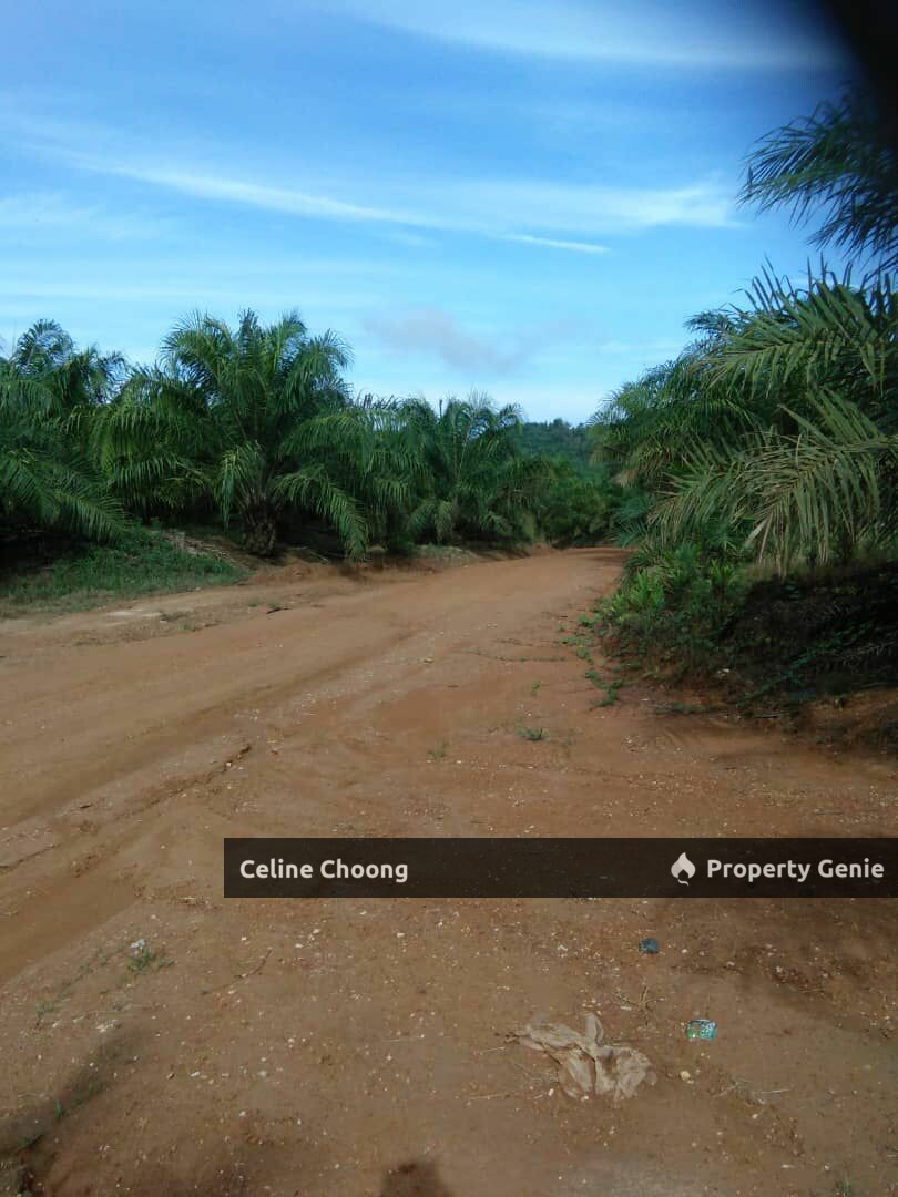 Mukim Mercang, Terengganu P004