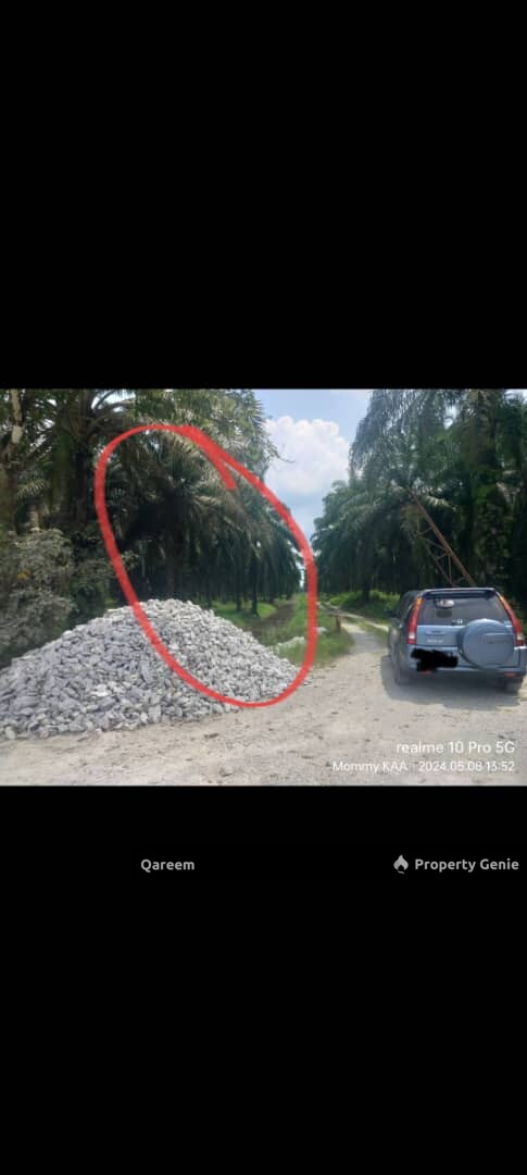 3 Ekar Ladang Sawit Merbau Berdarah Sabak Bernam