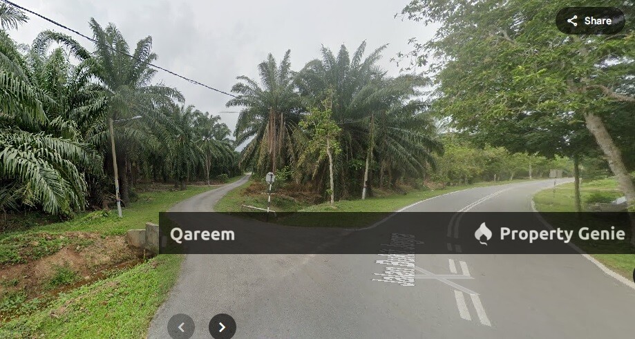[FREEHOLD] 2.68 Ekar Ladang Sawit kelanang Banting