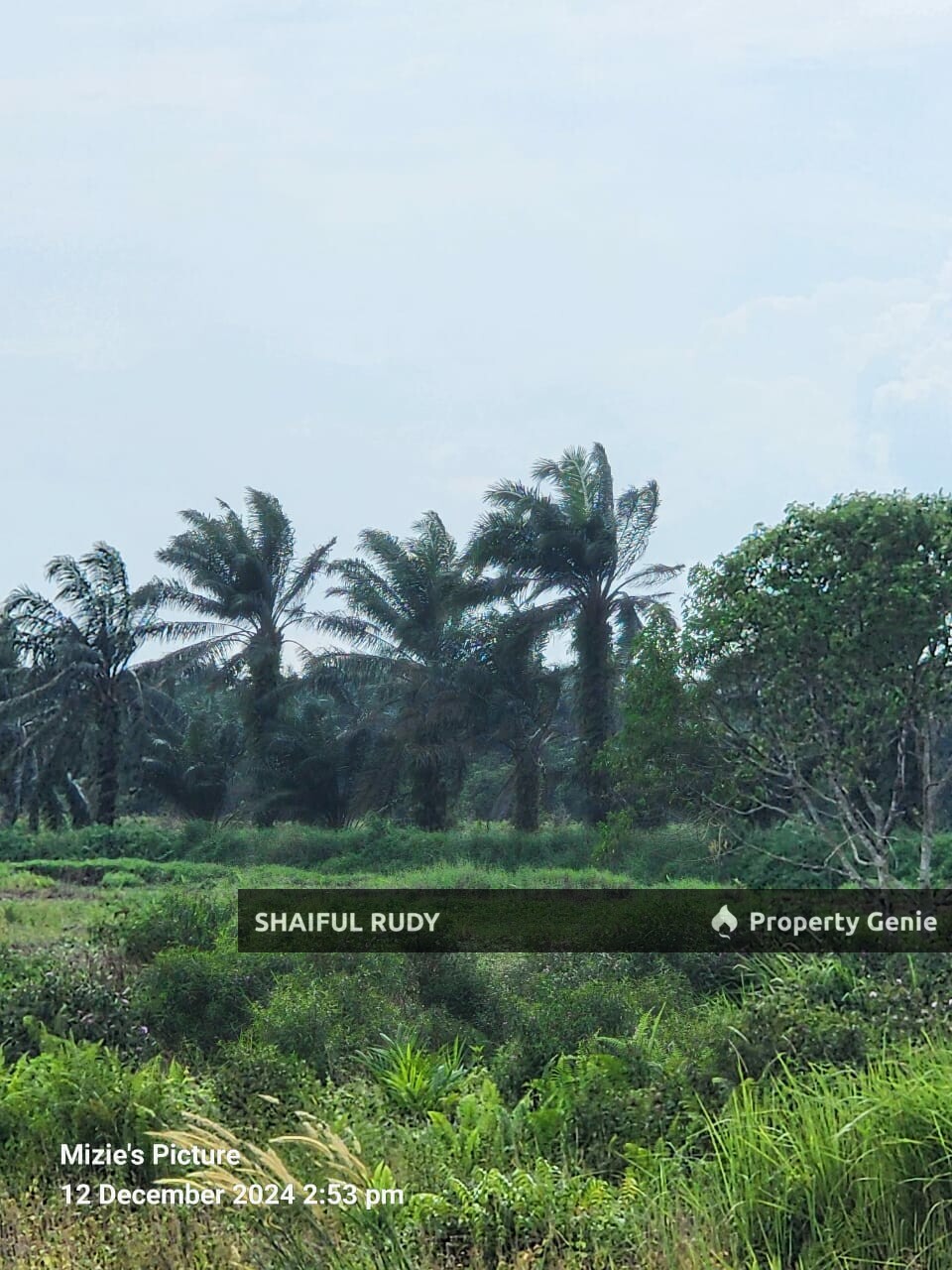 Sg Blankan, Mukim Sepang