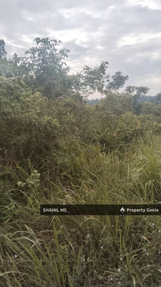 KLUANG JOHOR | KAHANG TIMUR | TANAH PERTANIAN | 6 EKAR | RIZAB MELAYU