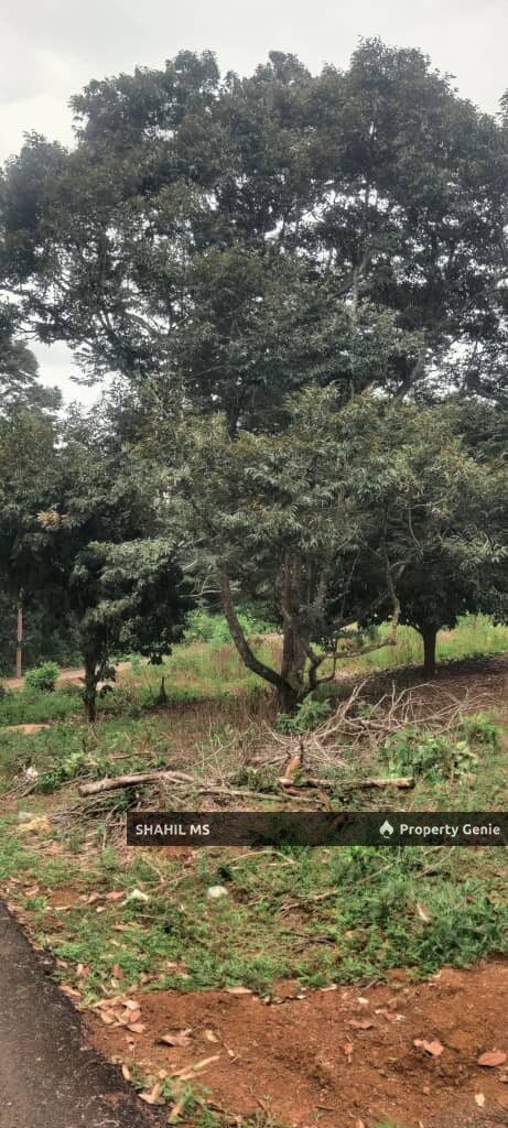 KLUANG JOHOR || JALAN ANGGERIK KLUANG || TANAH PERTANIAN || TANAH DUSUN BUAHAN || 1.83 EKAR || LEASEHOLD || RM220,000