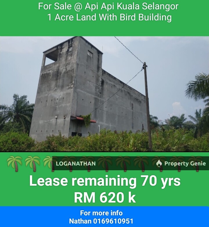 Kuala Selangor Agriculture Land Near Kampung Api Api