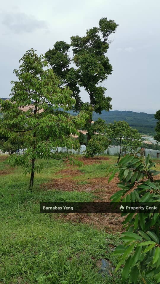 22 acres land at Bkt Beruntung