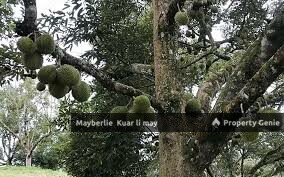 Pahang Land n Farm Rm80mil 39.975Arce For Sale