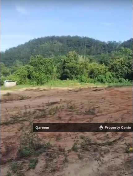 22.5 Ekar Tanah Kosong Padang Terap Kedah