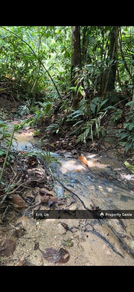 Kuala Kubu Bharu Agriculture Land for Sale (Mukim Ampang Pecah, Hulu Selangor)