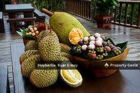 Pahang Kuantan Rm160k Arce Durian Tree Land for Sale