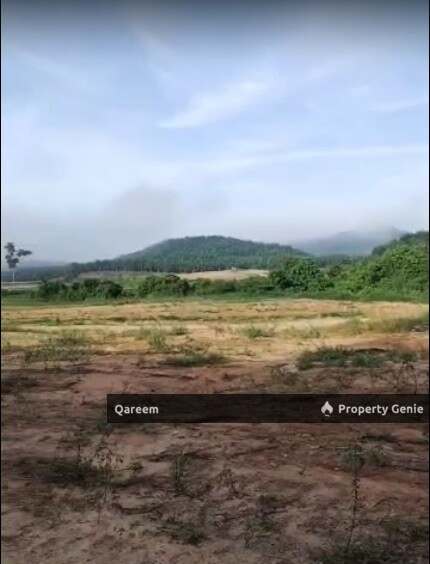 22.5 Ekar Tanah Kosong Padang Terap Kedah