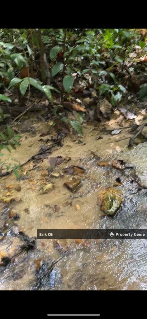 Kuala Kubu Bharu Agriculture Land for Sale (Mukim Ampang Pecah, Hulu Selangor)