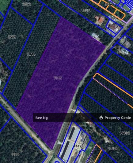 Benut / Pontian / Devolopment Land For Sale