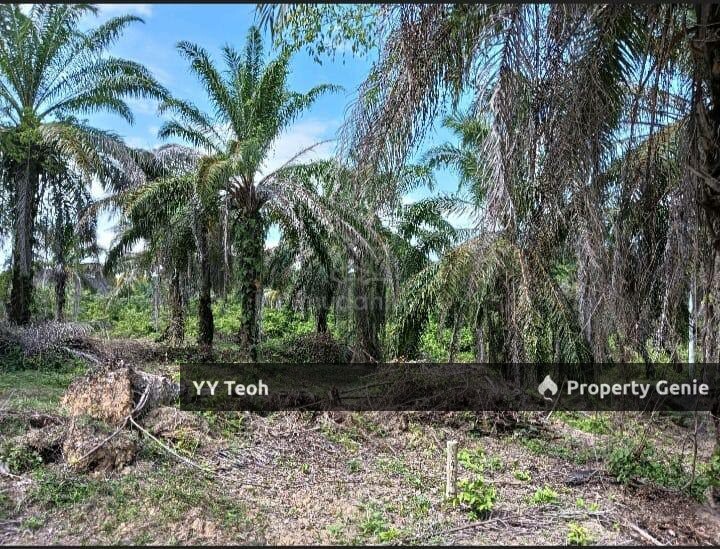 Residential Land @ Melaka Pindah Alor Gajah