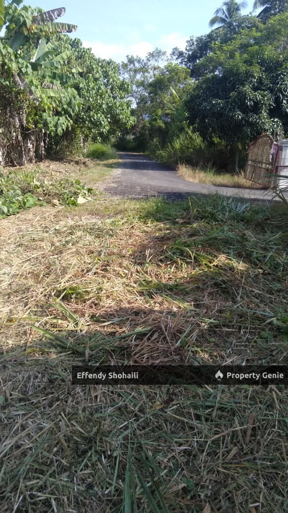 KUALA KLAWANG PIANGGU TANAH PERTANIAN