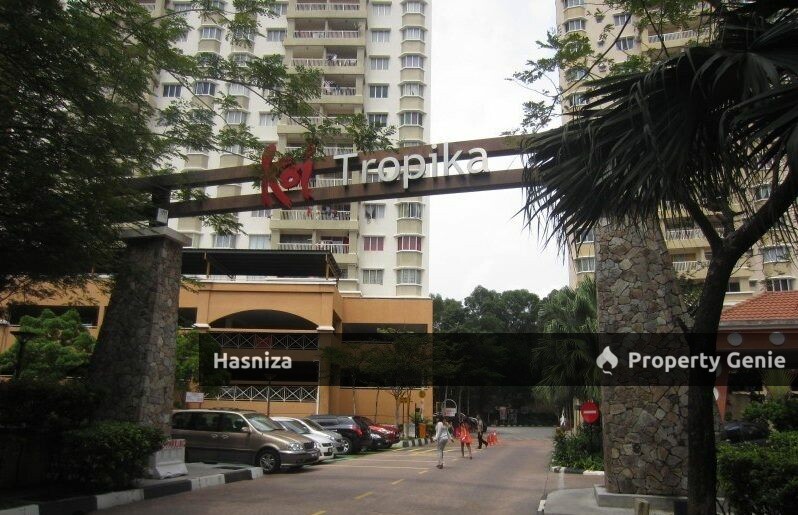 Koi Tropika For Sale Jalan Puchong Batu For Sale Selangor For Sale