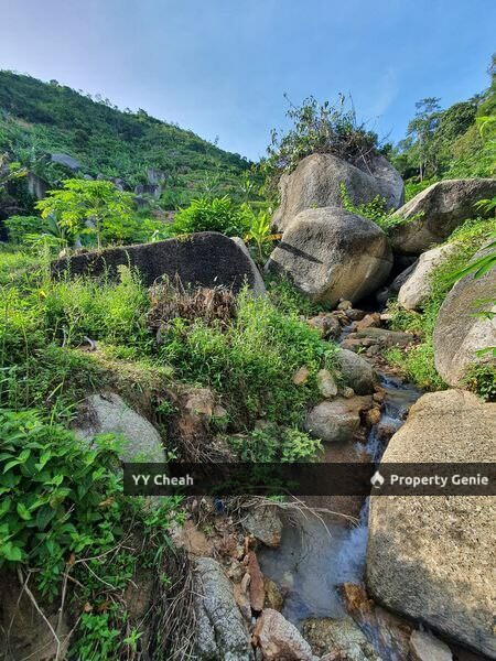 Sungai Siput Durian Farm Freehold with mountain water