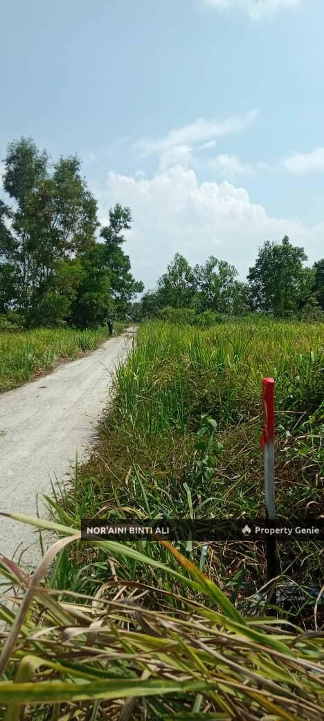 Tanah Tepi Jalan Utama Kuantan Pekan
