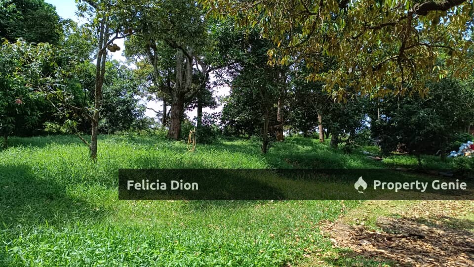 FREEHOLD AYER MOLEK AGRICULTURE LAND FOR SALE 🔥TOTAL 2++ ACRES