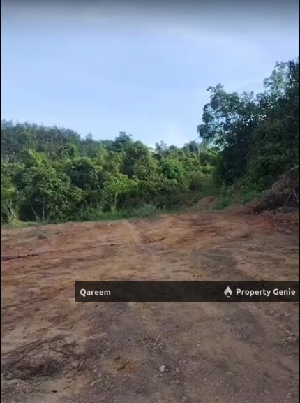 22.5 Ekar Tanah Kosong Padang Terap Kedah