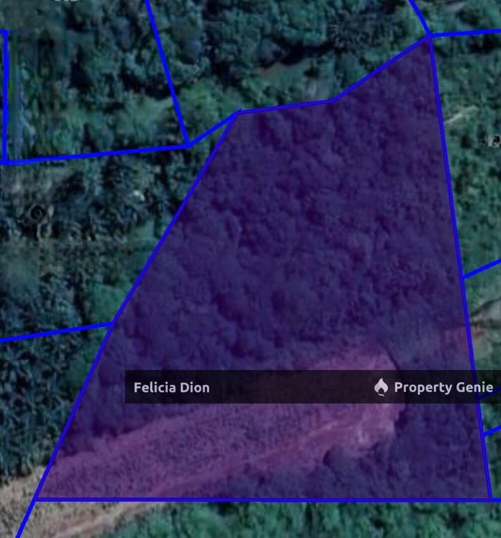 FREEHOLD KELEMAK @ ALOR GAJAH AGRICULTURE LAND FOR SALE ‼️