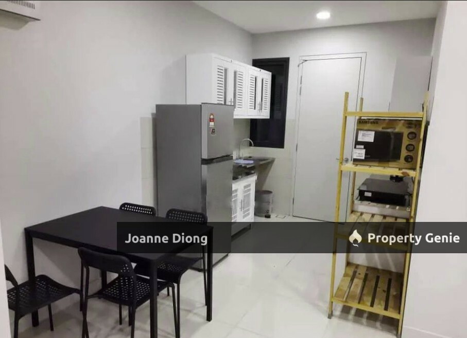 Cyperus Tropicana Garden