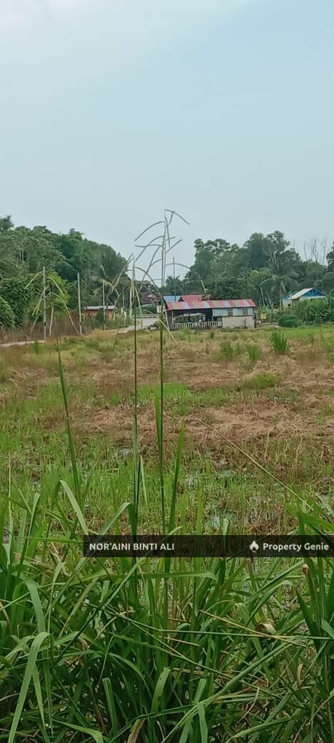 Tanah Tepi Jalan Utama Kuantan Pekan