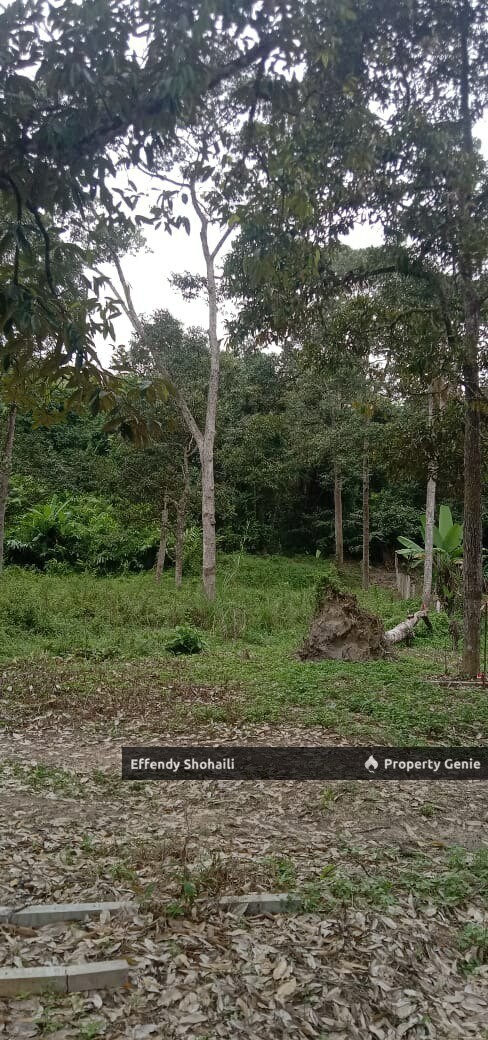 KUALA KLAWANG PERADONG TANAH PERTANIAN