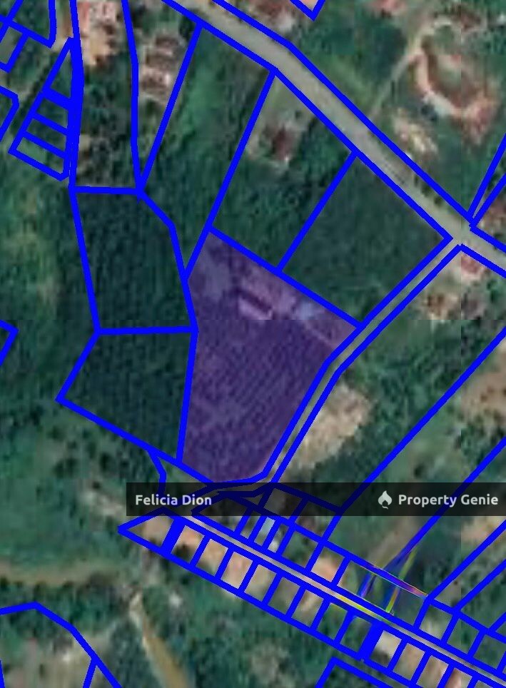DURIAN TUNGGAL AGRICULTURE LAND FOR SALE 🔥 FREEHOLD 3.5 ACRES