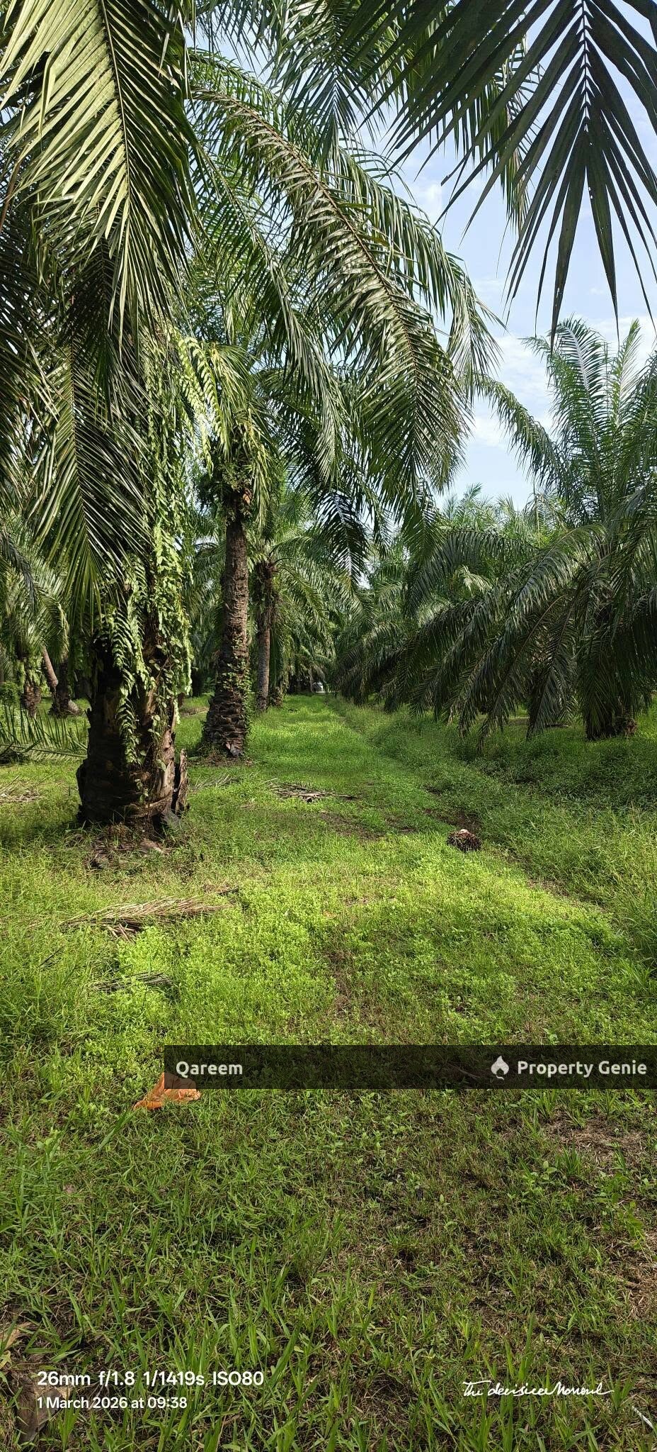 26764Sft Sungai Gulang Gulang Tanjung Karang Kuala Selangor