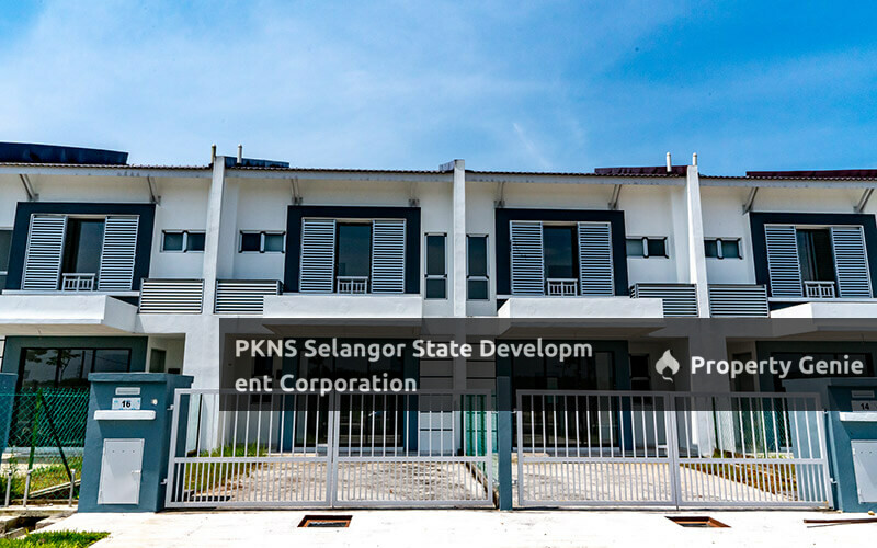 Rafflesia @ Bernam Jaya