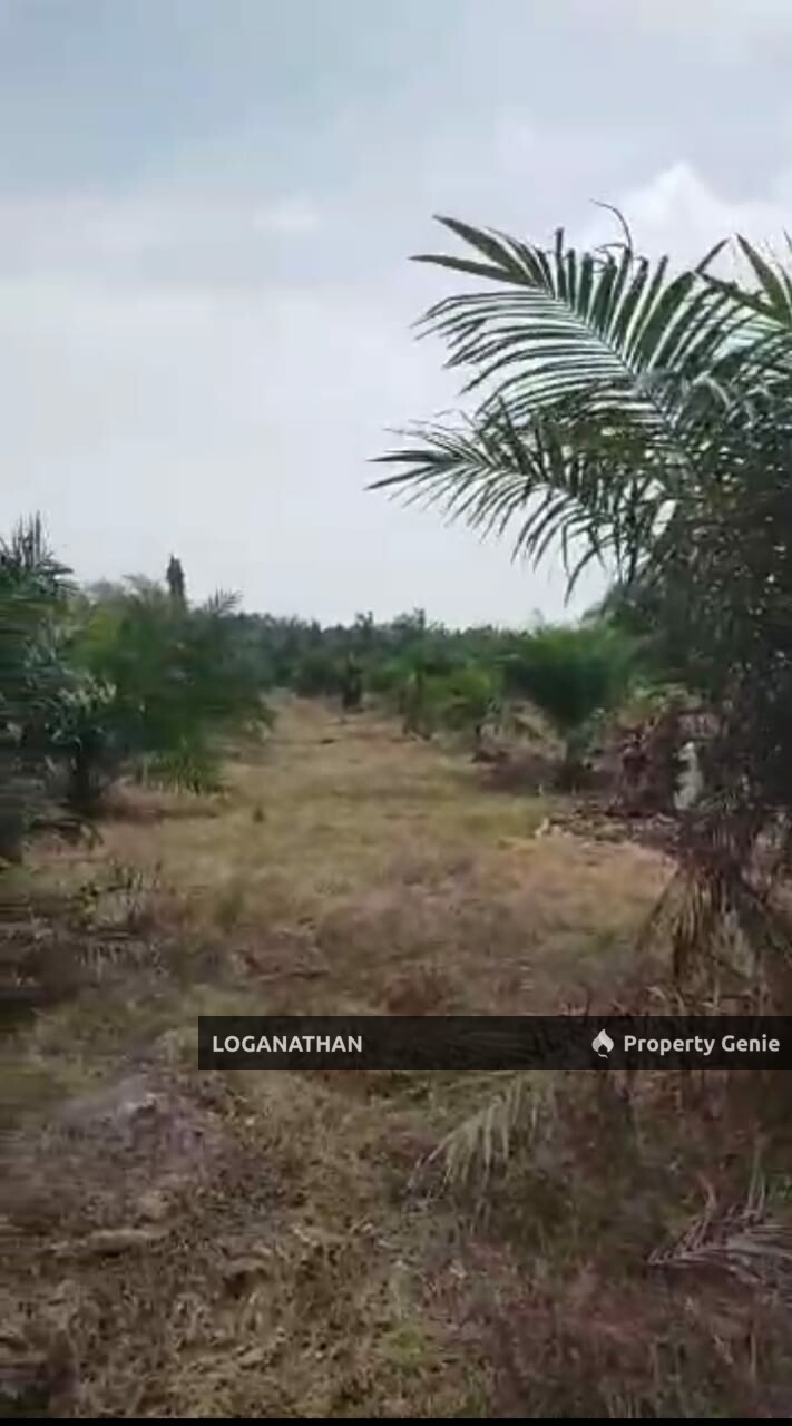1 Acre Tanah Kuala Selangor @ Kampung Api-Api