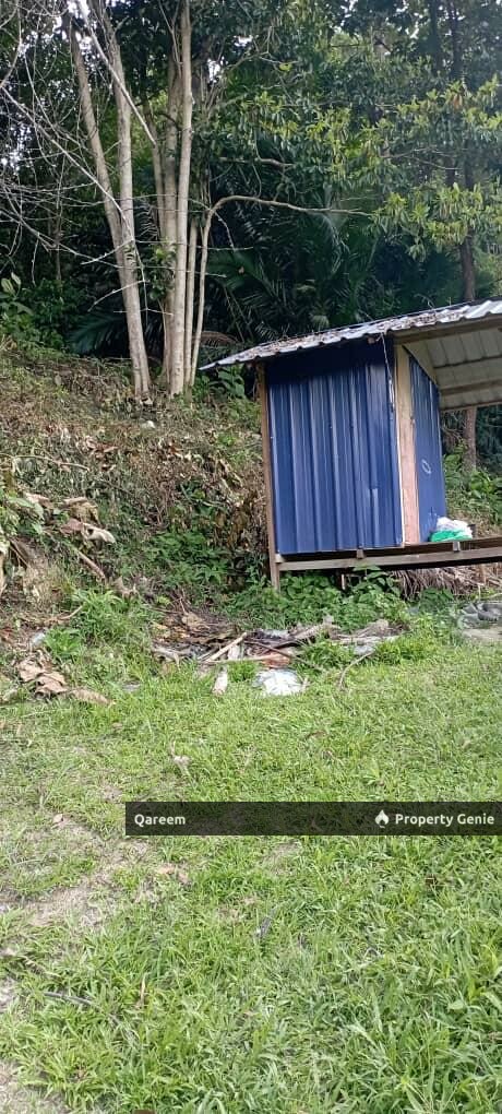 2 Ekar Dusun Durian Musang King bukit permata Gombak